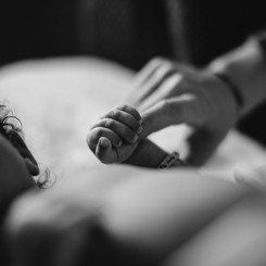 Newborn baby's fingers holding on to a parent's finger, with the baby's cheek and ear, turned slightly away,  to the left of the image