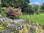 Shrubs and gladioli in bloom in a grassy Cumbrian garden, overlooking trees and hilltops in the distance