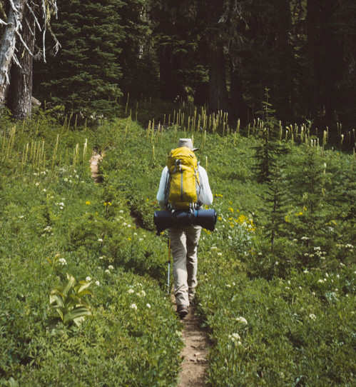 A backpacker walking up a slight grassy incline towards a thicket of trees ahead