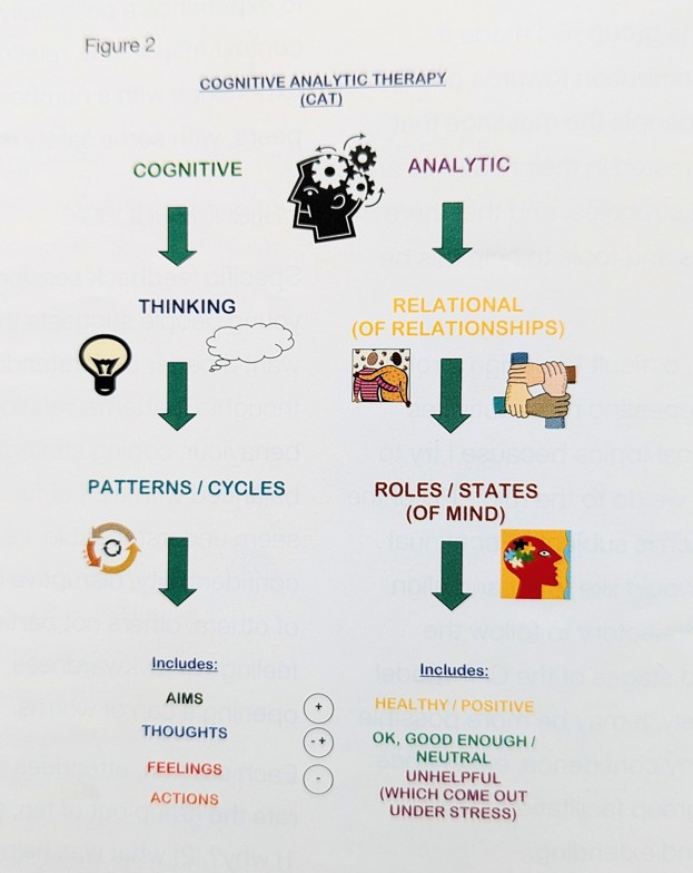 Coloured diagram with images and arrows and words - showing cognitive element to CAT, plus relational/analytic element
